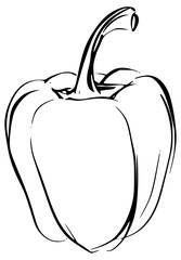 Line drawing of a bell pepper with large edges