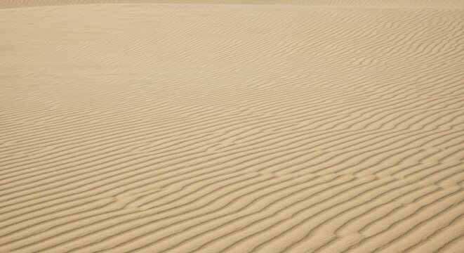 Wavy ripple patterns create texture across expansive desert sand dunes