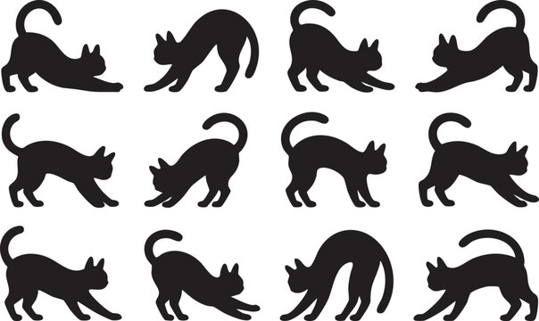 Twelve black cat silhouettes stretching and posing dynamically against a clean transparent background illustrate feline flexibility