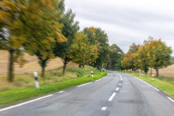 Fototapeta premium Empty rural road between autumn trees. Scenic journey.