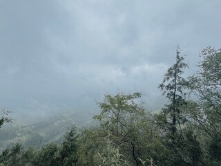 Obraz premium clouds over the forest