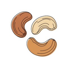 Three varieties of cashew nuts in illustrated style  