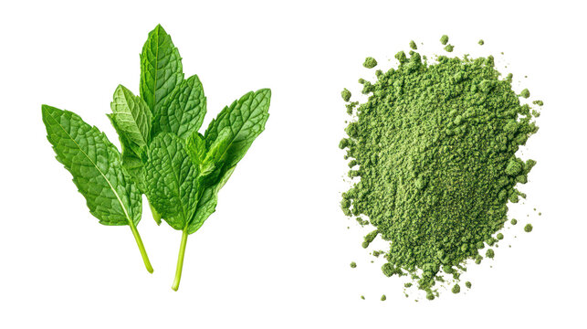 Fresh mint leaves and dried mint flakes isolated on transparent background