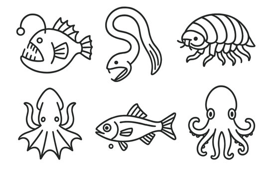 Deep Sea Icons. Line style icons of deep sea life: anglerfish, gulper eel, giant isopod, vampire squid, lanternfish, dumbo octopus