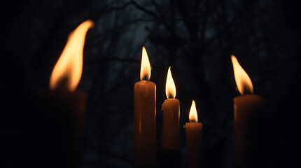 Candles burning in a dark environment, mysterious mood, flickering flames in the forest
