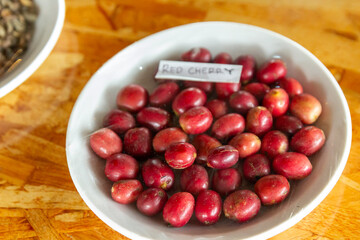 A close-up, overhead view of ripe, red coffee cherries in a white bowl, labeled 'Red Cherry'