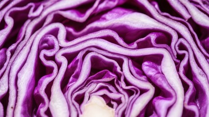 Obraz premium Abstract Heart of Red Cabbage A Natural Purple and White Pattern