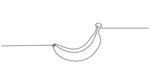 Banana fruit animation video, continuous one line drawing, fresh banana fruit concept single line 4k animation videos.