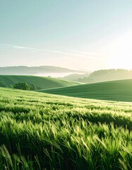 Fototapeta premium Green Field Minimal Nature Aesthetic Mobile Wallpaper