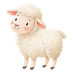 Watercolor cute sheep illustration
