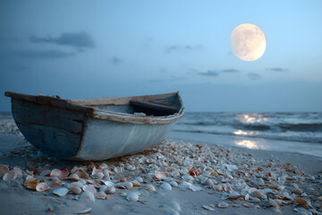 a boat on a beach with shells on the shore