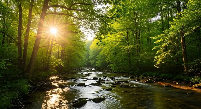 Golden sunbeams filter through the vibrant green forest canopy, casting a warm glow upon a serene river winding peacefully through the lush woodland