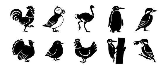 Obraz premium Bird Species Icon Set: Black Silhouette Vector Graphics of Rooster, Penguin, Woodpecker, Puffin, Ostrich, and Turkey