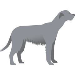 Grey Irish Wolfhound Profile View Isolated On Transparent Background Vector Illustration