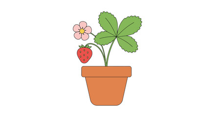 A charming illustration of a strawberry plant blossoming in a terra cotta pot