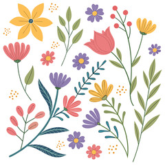 Colorful hand-drawn spring flowers and foliage on a white background . Set floral of wildflower, leaf branch, foliage on white background. Hand drawn blossom illustration.