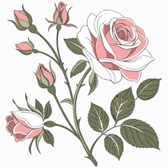 Pink Roses Clipart, Roses bouquet, Printable Watercolor clipart, Watercolor clipart of a bouquet of pink roses, suitable for printing and decorative purposes. 