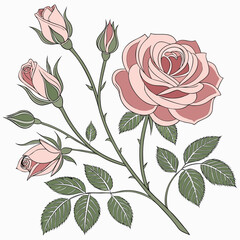 Pink Roses Clipart, Roses bouquet, Printable Watercolor clipart, Watercolor clipart of a bouquet of pink roses, suitable for printing and decorative purposes. 