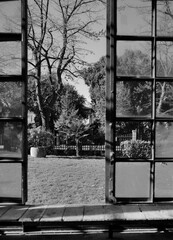 Fen&ecirc;tre ouverte sur jardin : perspective int&eacute;rieure vers nature silencieuse