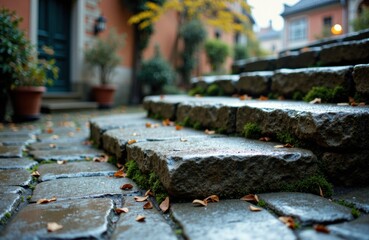 Wet stone steps and cobblestone pathway in an outdoor urban setting with potted plants and autumn leaves