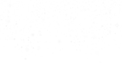 snow and white sparkles