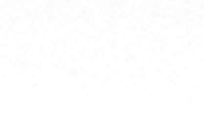 snow and white sparkles