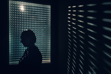 Silhouette of a woman standing at a dark window, dramatic blinds light creating shadow pattern on wall, expressing loneliness, stress or deep thought in moody interior.
