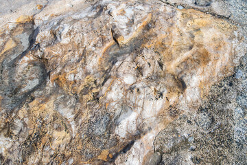 Close-up of rock texture submerged in clear sea water, reflecting sunlight. Beautiful natural summer background