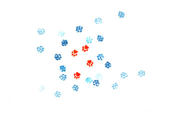 abstract blue background footprints of animals dogs