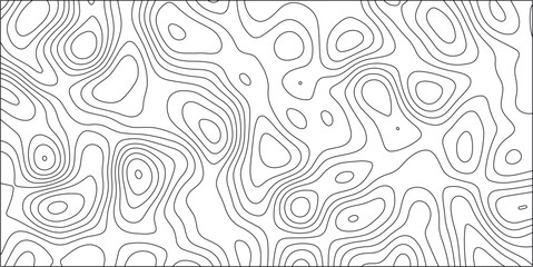 Abstract topographic contour map lines creating an organic, flowing pattern on a white background with a black border