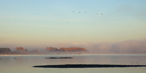 fog, sunrise over the lake, flying birds, foggy morning on the lake, autumn landscape