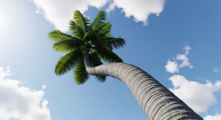 Low-angle view of a tall palm tree bending towards a bright, partly cloudy sky