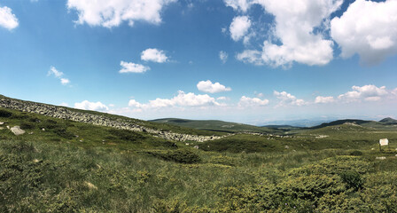 Amazing natural landscape in the mountains of Ukraine. Travel the world, discover wild locations. Protect the environment movement. Sunny day in a mountain village. Travel to rural remote location