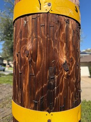 Weathered Utility Pole: Close-up detail of a wooden telephone pole, worn by time and covered in staples.