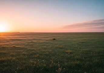 Obraz premium Idyllic grasslands illuminated by the early morning sun's radiant glow