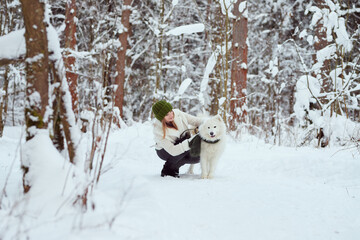 Girl with a Samoyed Dog in a winter forest. High quality photo