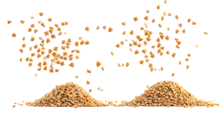 Fenugreek Whole Seeds with Fenugreek Powder Overhead Side by Side on Transparent Background