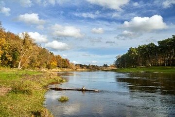 Meadows and forest on the banks of the Warta River during autumn