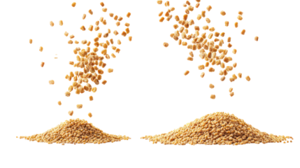 Fenugreek Whole Seeds with Fenugreek Powder Overhead Side by Side on Transparent Background