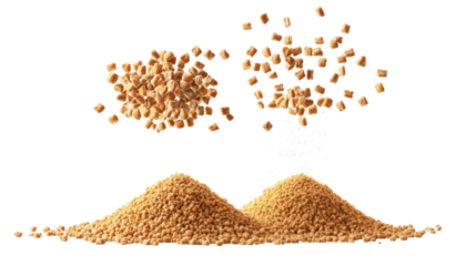 Fenugreek Whole Seeds with Fenugreek Powder Overhead Side by Side on Transparent Background