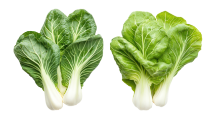 Two heads of fresh bok choy isolated on transparent background