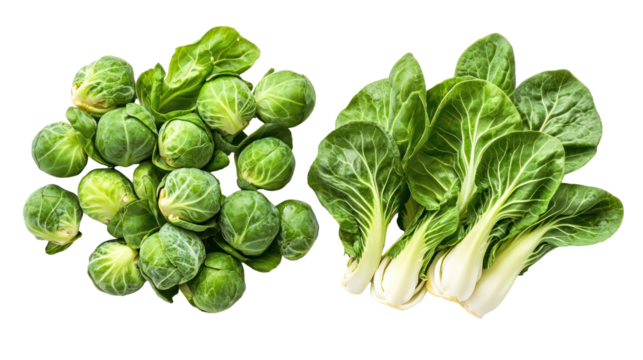 Fresh brussels sprouts and romaine lettuce isolated on transparent background