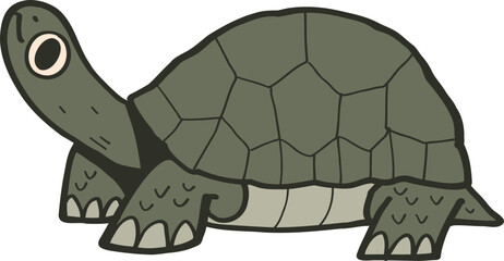 Cartoon Illustration of a Green Turtle