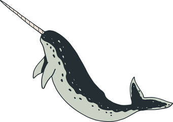 Illustration of a Grey Narwhal