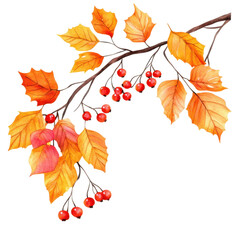 Fototapeta premium Autumn Branch Watercolor: A vibrant watercolor illustration showcases an autumn branch, adorned with fiery orange and red leaves and complemented by clusters of bright berries.