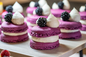 Karisik Turk tatlilari. New dessert varieties at the  luxury hotel open buffet. Milk-based desserts,  Turkish Dessert Sobiyet, havuc dilimi, midye baklava, mussels baklava and classic baklava. 