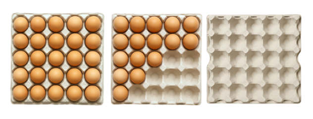 egg Tray Set – Full and Empty Egg Cartons