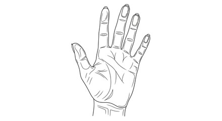 Hand drawn outline illustration representing gesture communication and human anatomy artistic view