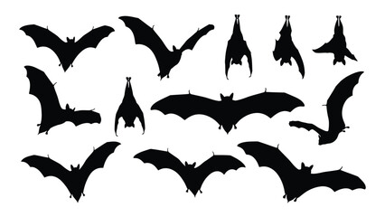 Various bat silhouettes in flight and hanging poses isolated on white background, Vector © BIPUL