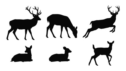 Deer silhouettes in various poses isolated on white background, Vector